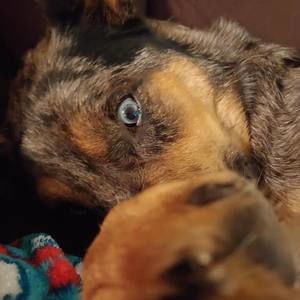 Meet your Posher, Natalie